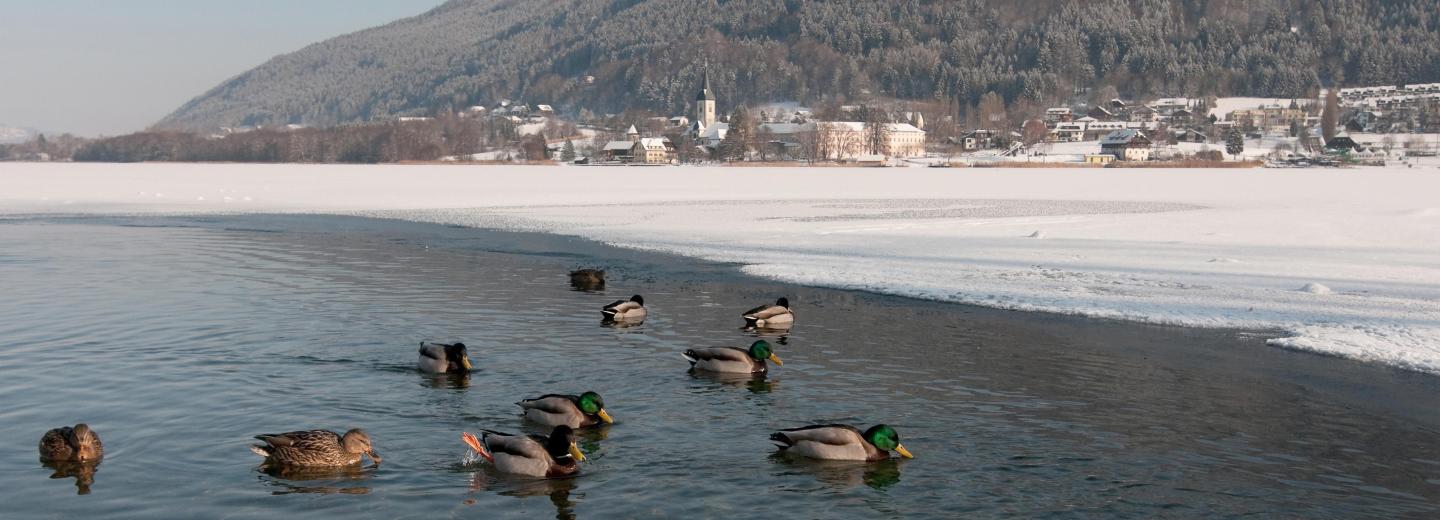 © Eurotours Ossiach am See