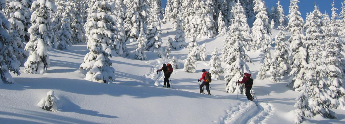© Eurotours Eisenerz