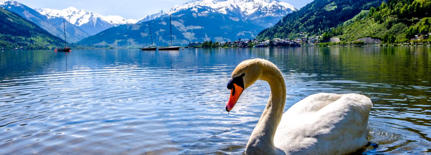 © Eurotours Zell am See
