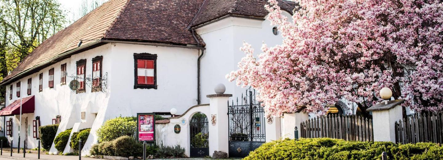 © Eurotours Pörtschach, Wörthi-tó