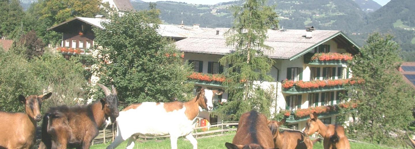 © Eurotours Golling an der Salzach