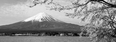 9637304/fuji-kirschbl-ten-gettyimages-547227226-erweitert_1634809292389.jpg