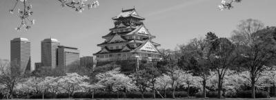9637304/osaka-schloss-istock-64549069-xlarge_1634809304748.jpg