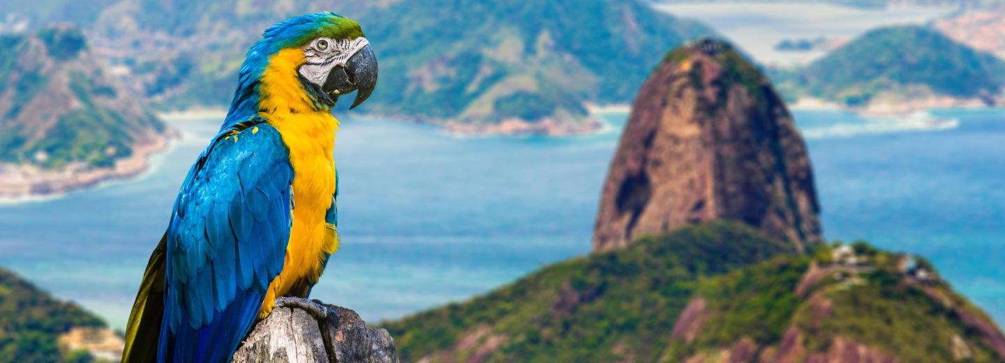 © Eurotours Genovából Rio de Janeiróba – Atlanti-óceáni hajóút