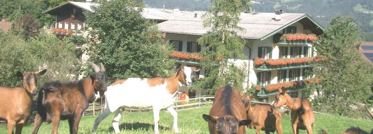© Eurotours Golling an der Salzach