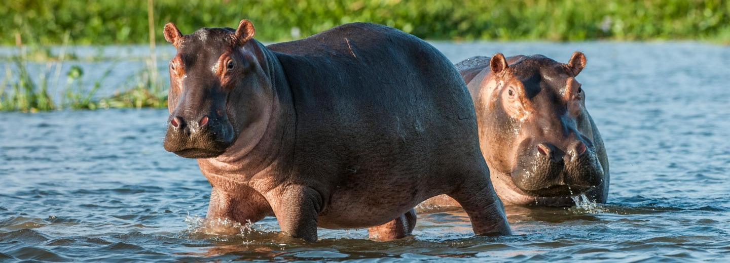 © Eurotours Uganda – Körutazás