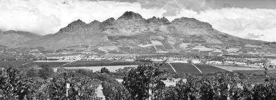 9685230/stellenbosch-weingut-gettyimages-182035526-erweitert_1655110830975.jpg