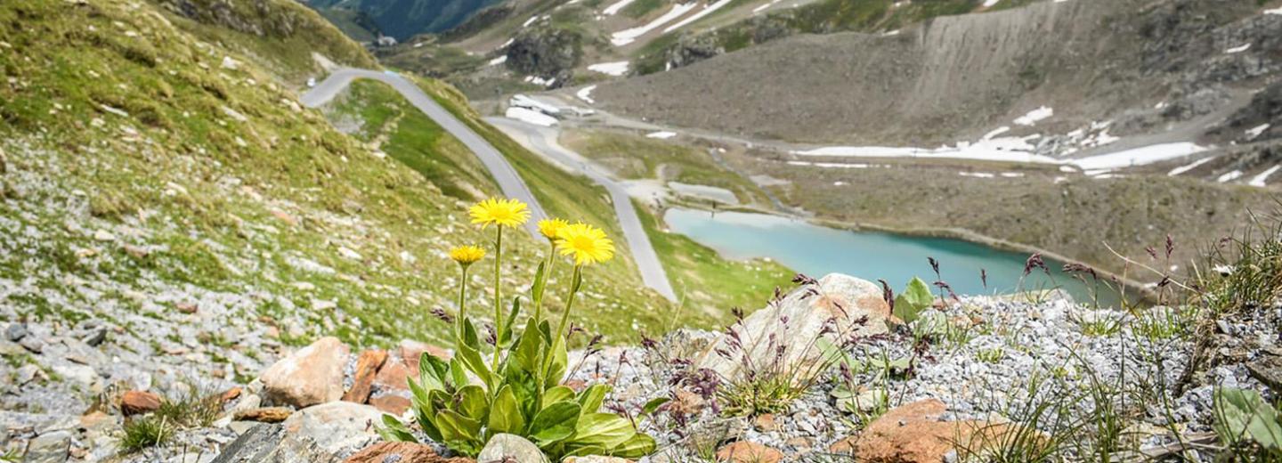 © TVB Tiroler Oberland Kaunertal / Isidor Nösig Sportfotograf Feichten im Kaunertal