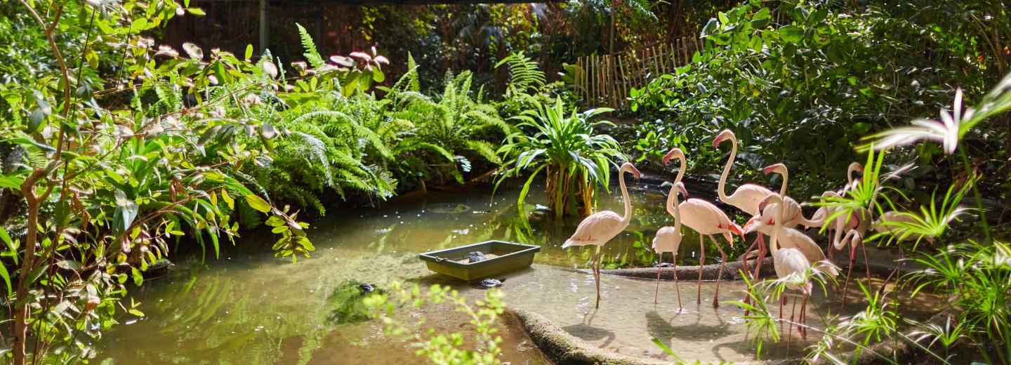 © Eurotours Krausnick-Groß Wasserburg – Tropical Islands