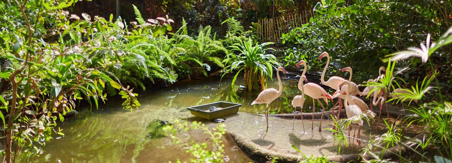 © Eurotours Krausnick-Groß Wasserburg – Tropical Islands