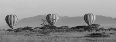 9689272/hot-balloon-safari_1657636396664.png