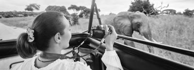9689272/safari-frau-elefant-auto-afrika-gettyimages-1212708215_1657636604334.jpg