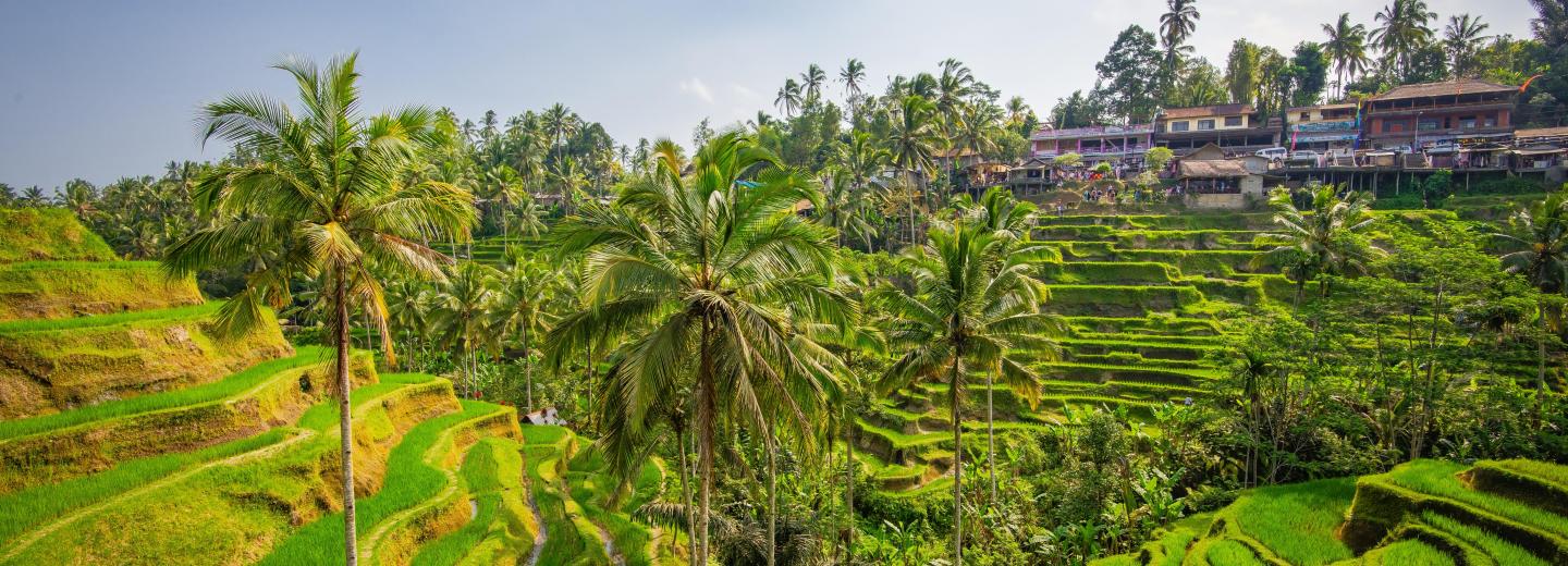 © Eurotours Bali – Körutazás és fürdőzés