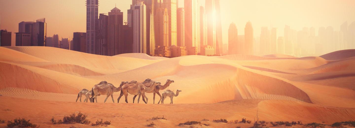 © Eurotours Dubai – városnéző körút