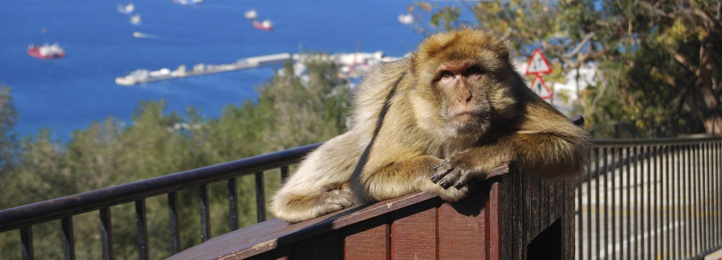 © Eurotours Gibraltár