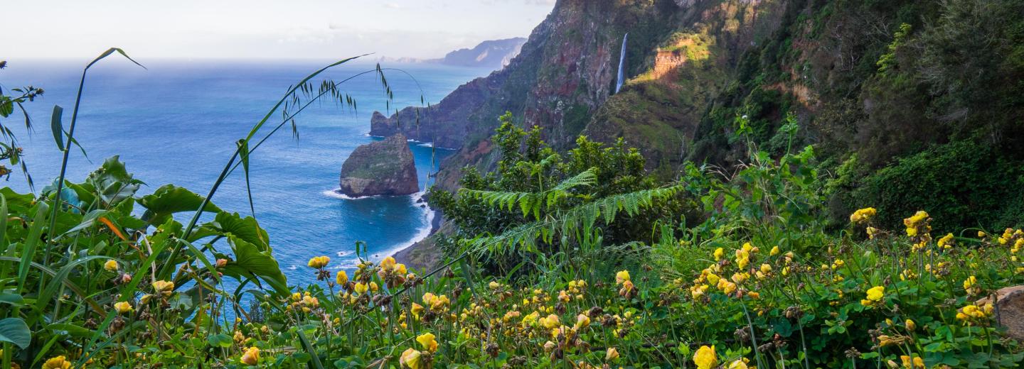 © Eurotours Madeira