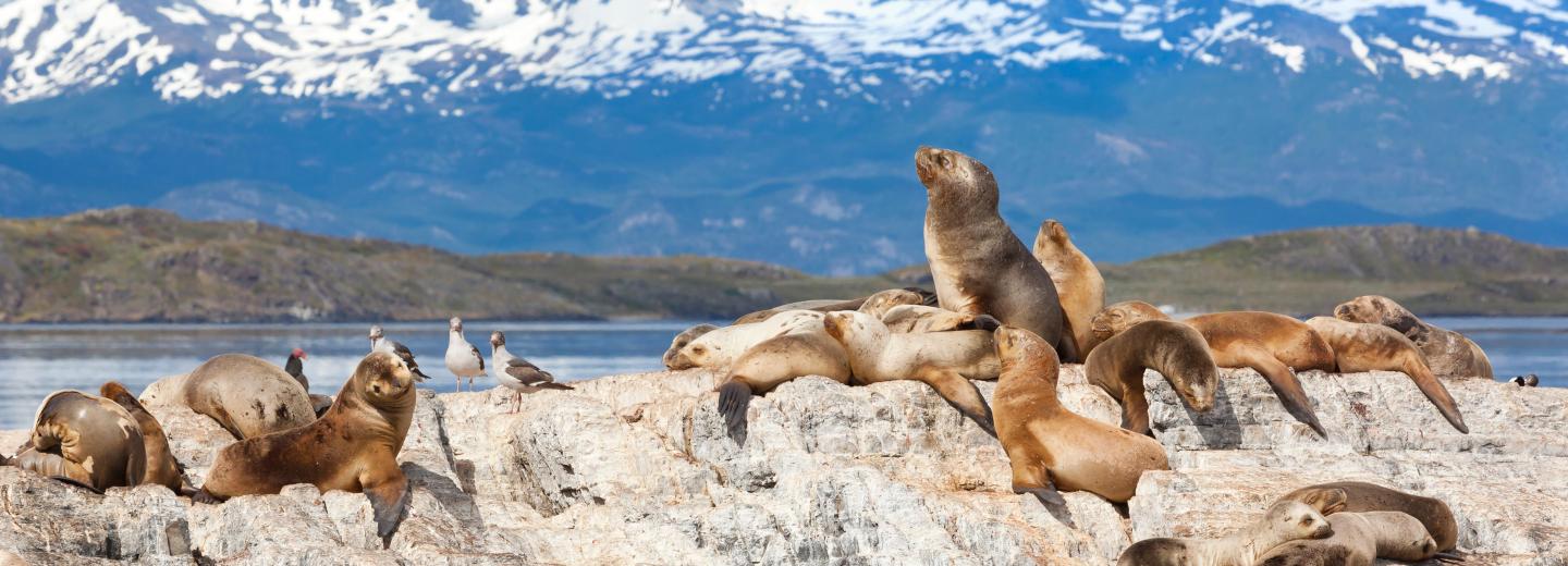 © Eurotours Antarktisz – expedíciós hajóút