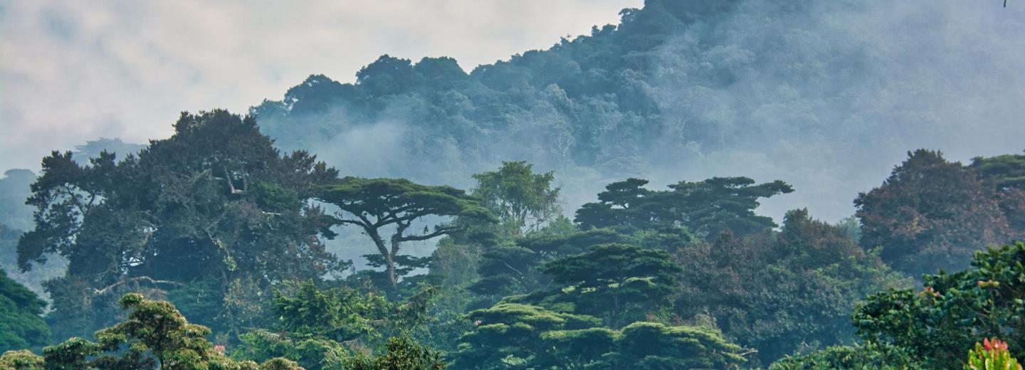 © Eurotours Uganda és Zanzibár – Körutazás és fürdőzés