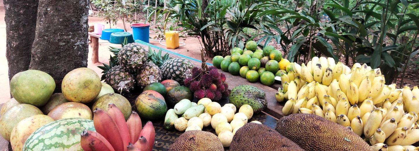 © Eurotours Uganda és Zanzibár – Körutazás és fürdőzés