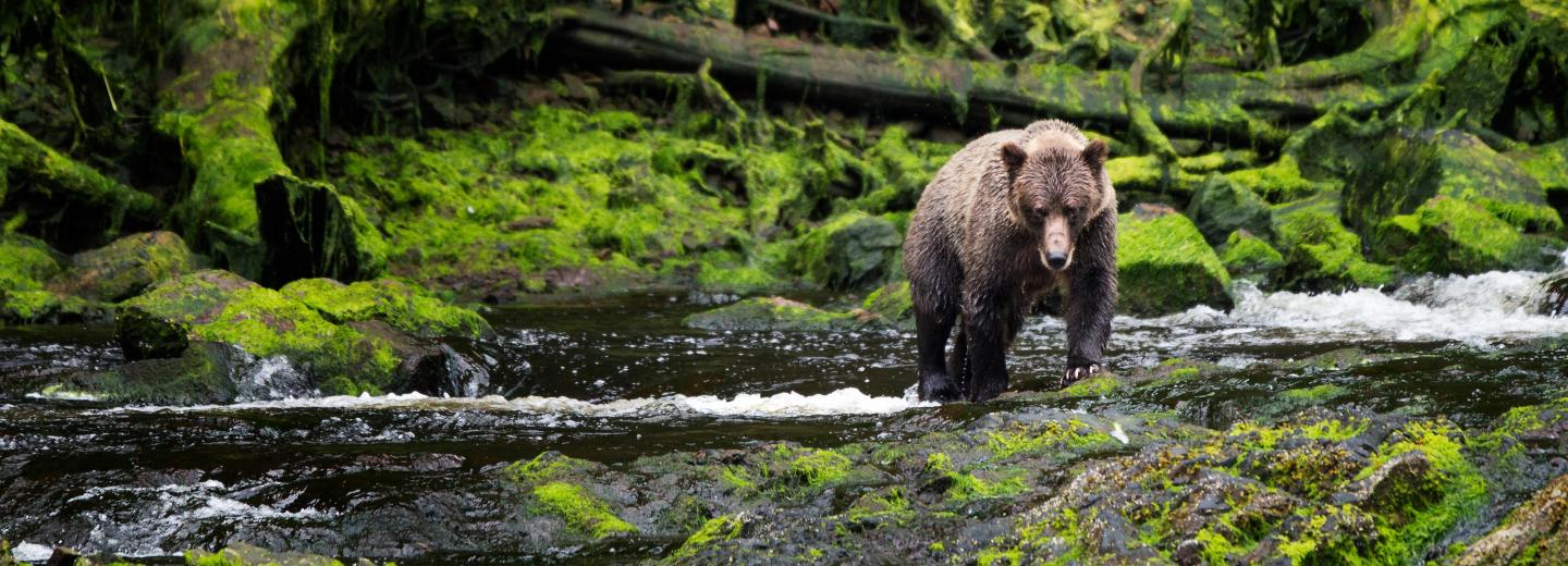 © Eurotours Seattle és Alaszka – hajóút