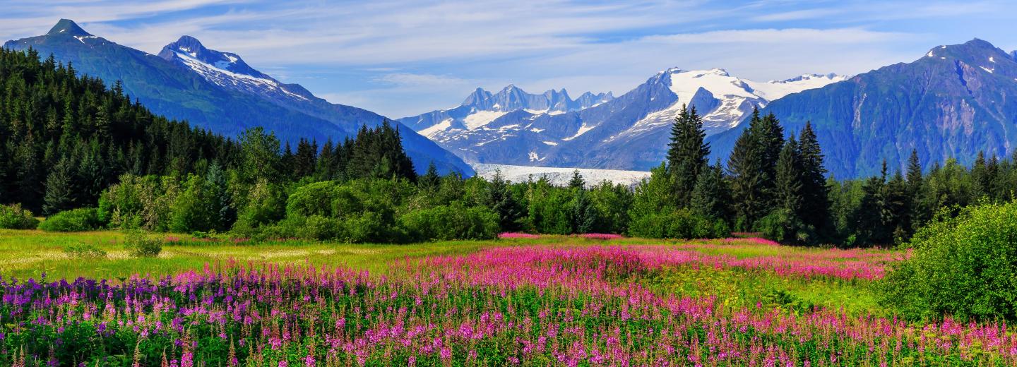 © Eurotours Seattle és Alaszka – hajóút