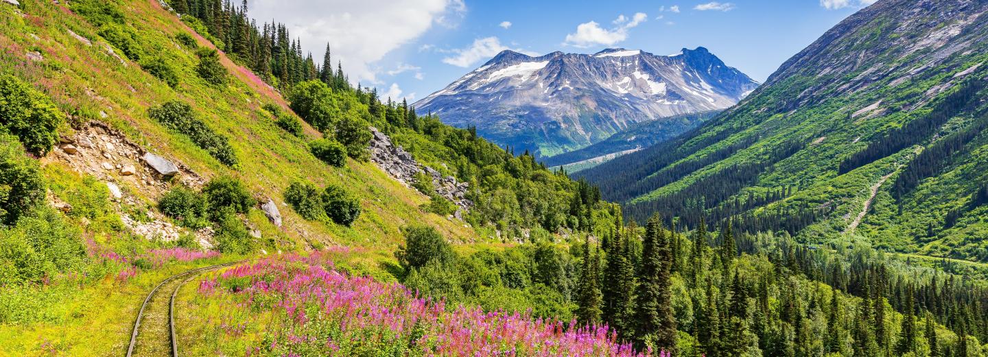 © Eurotours Seattle és Alaszka – hajóút