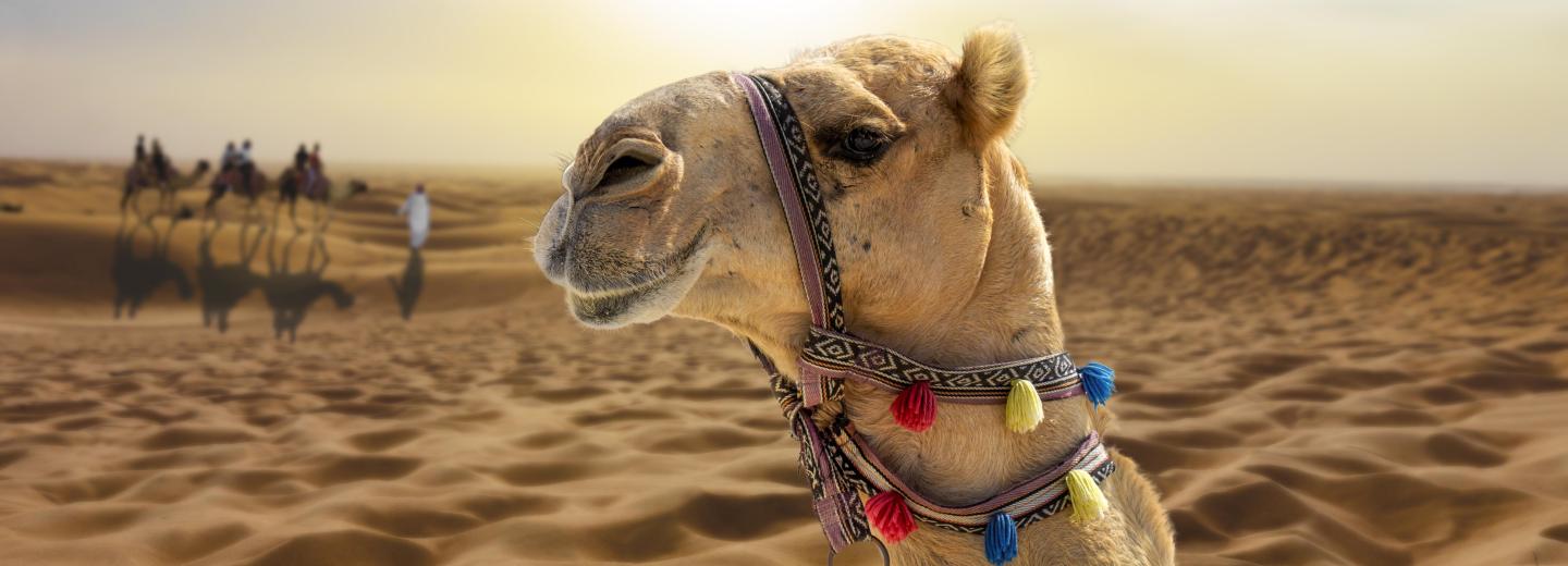 © Eurotours Dubai – városnéző körút