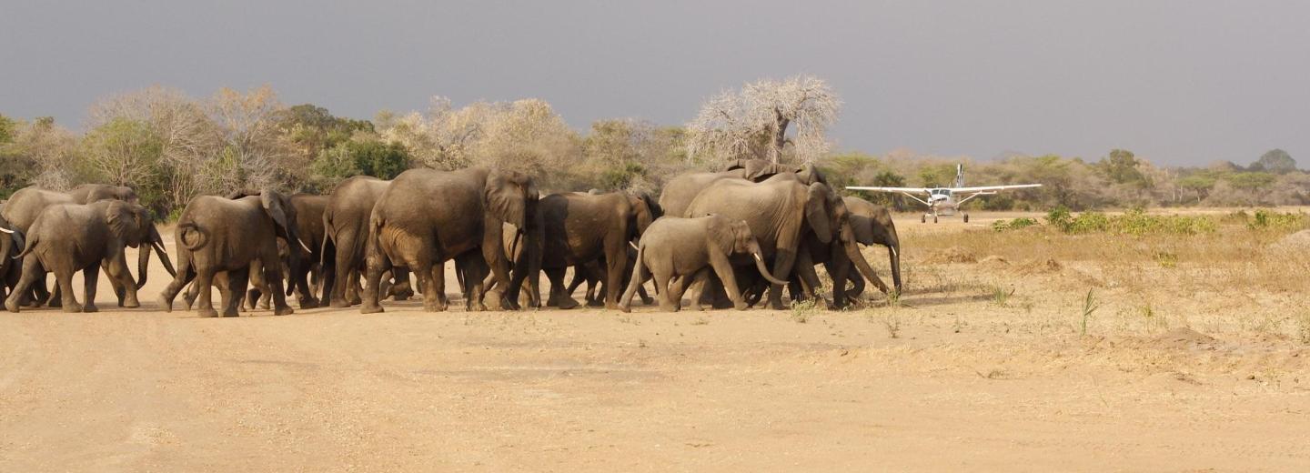 © Eurotours Zanzibár – Szafari és fürdőzés
