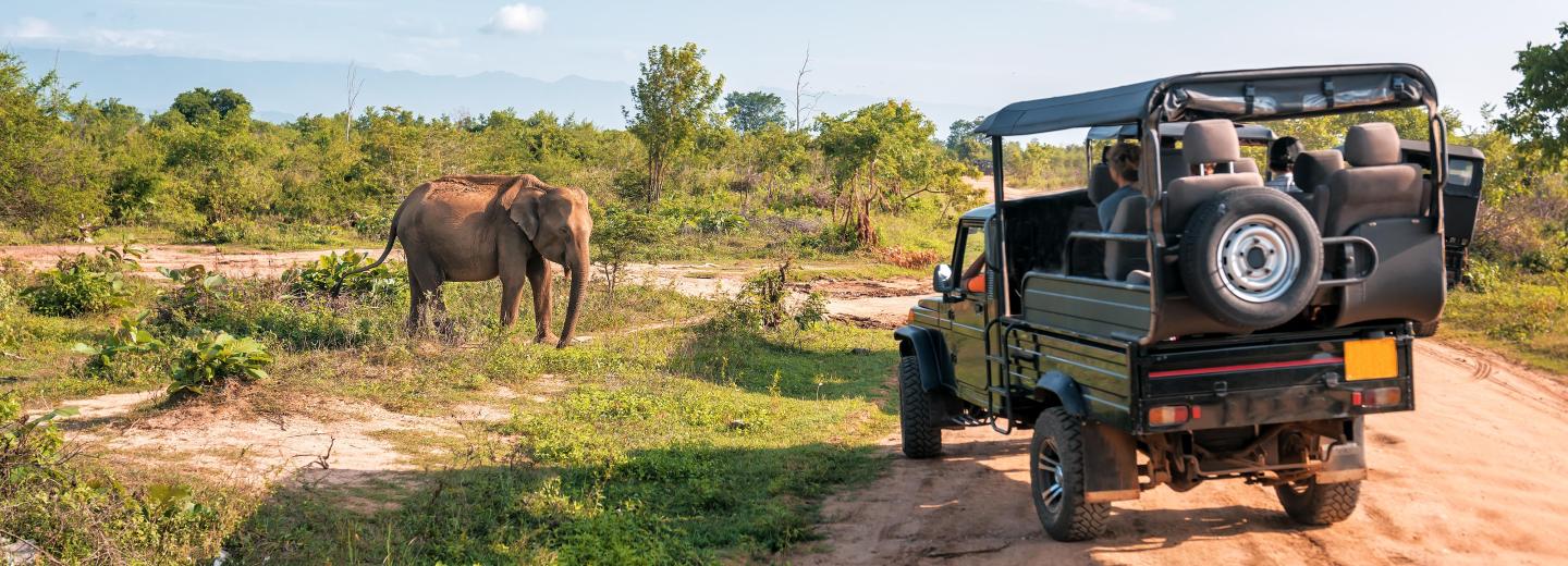 © Eurotours Zanzibár – Szafari és fürdőzés