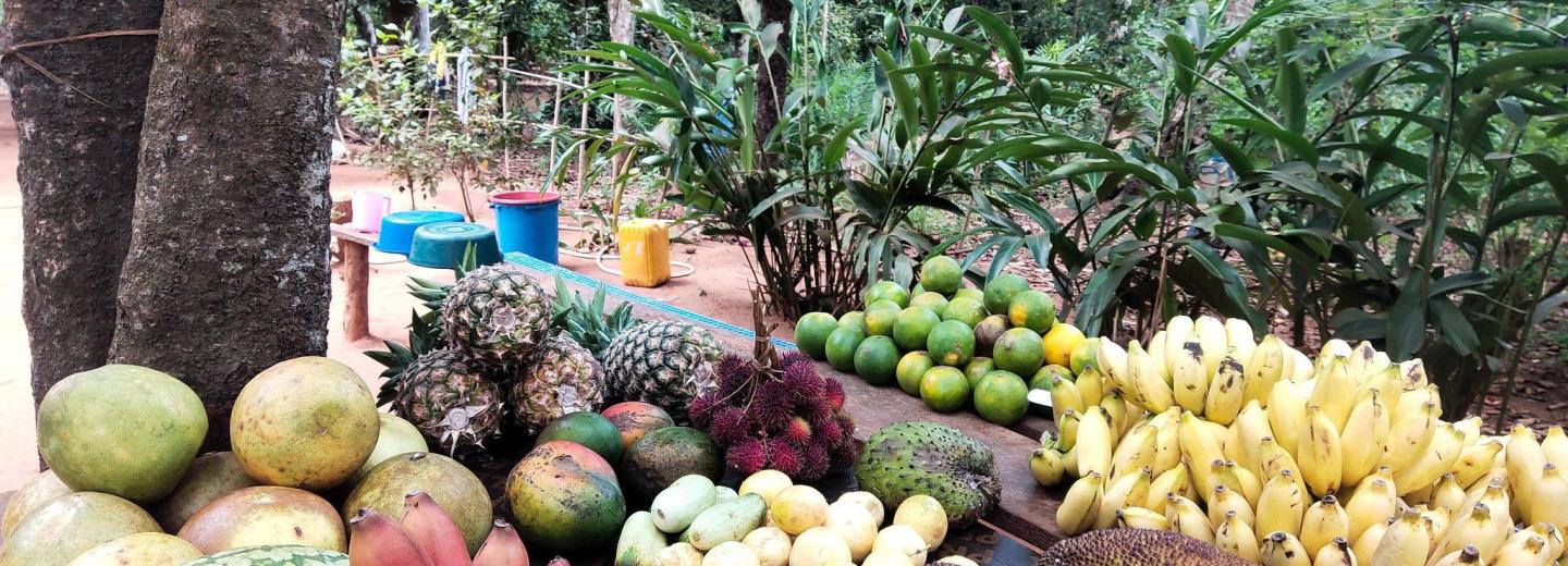 © Eurotours Zanzibár – Szafari és fürdőzés