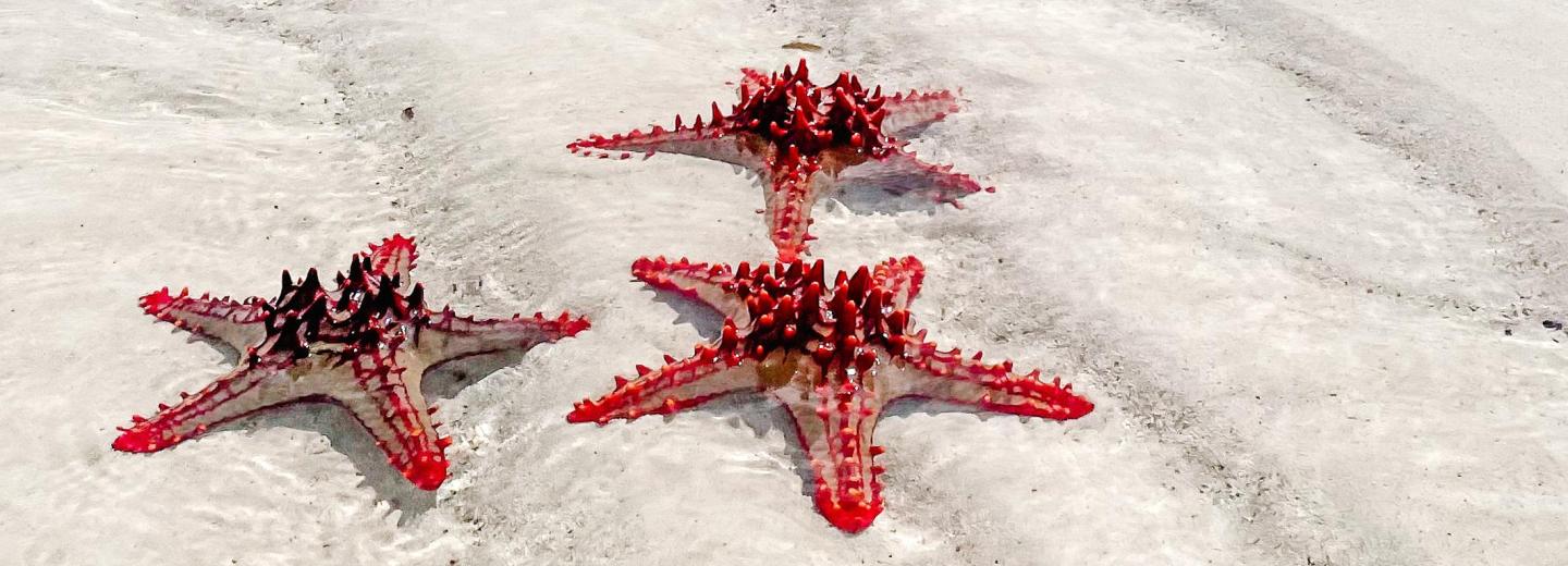 © Eurotours Zanzibár – fürdőzés