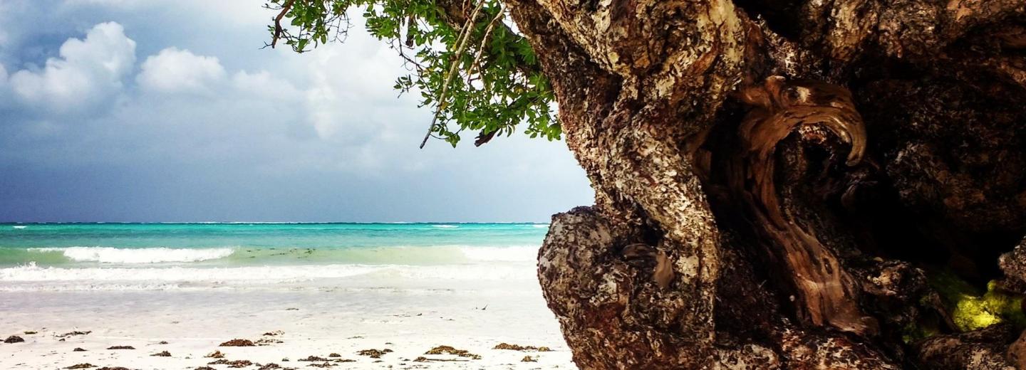 © Eurotours Zanzibár – fürdőzés
