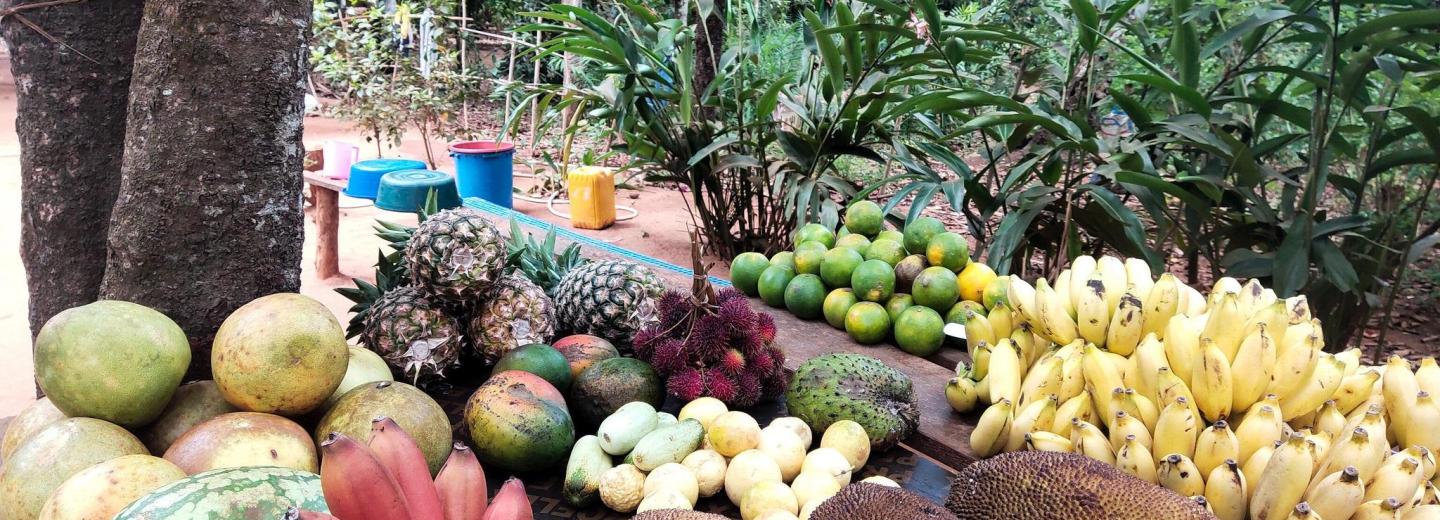 © Eurotours Zanzibár – fürdőzés