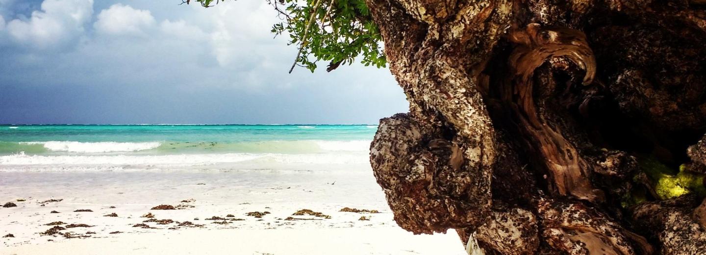 © Eurotours Zanzibár – fürdőzés