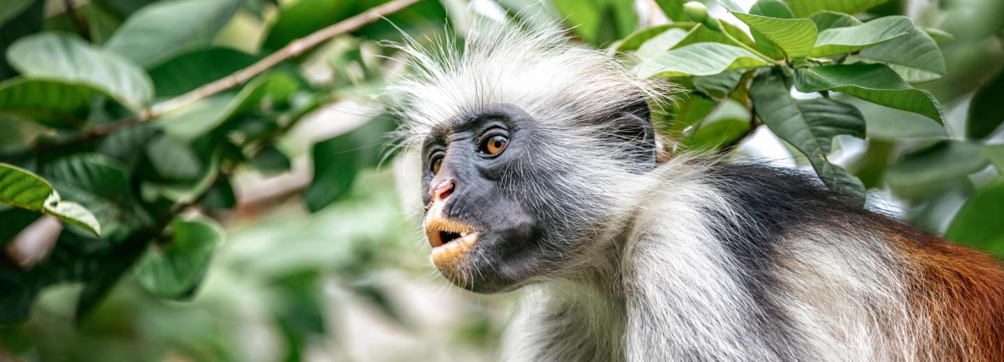 © Eurotours Zanzibár – fürdőzés