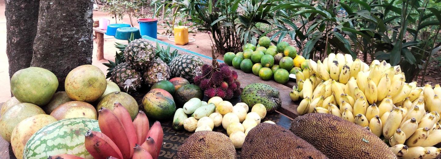 © Eurotours Zanzibár – fürdőzés