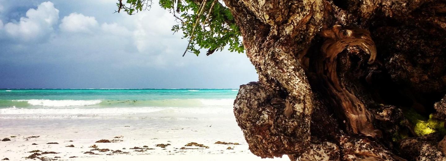 © Eurotours Zanzibár – fürdőzés