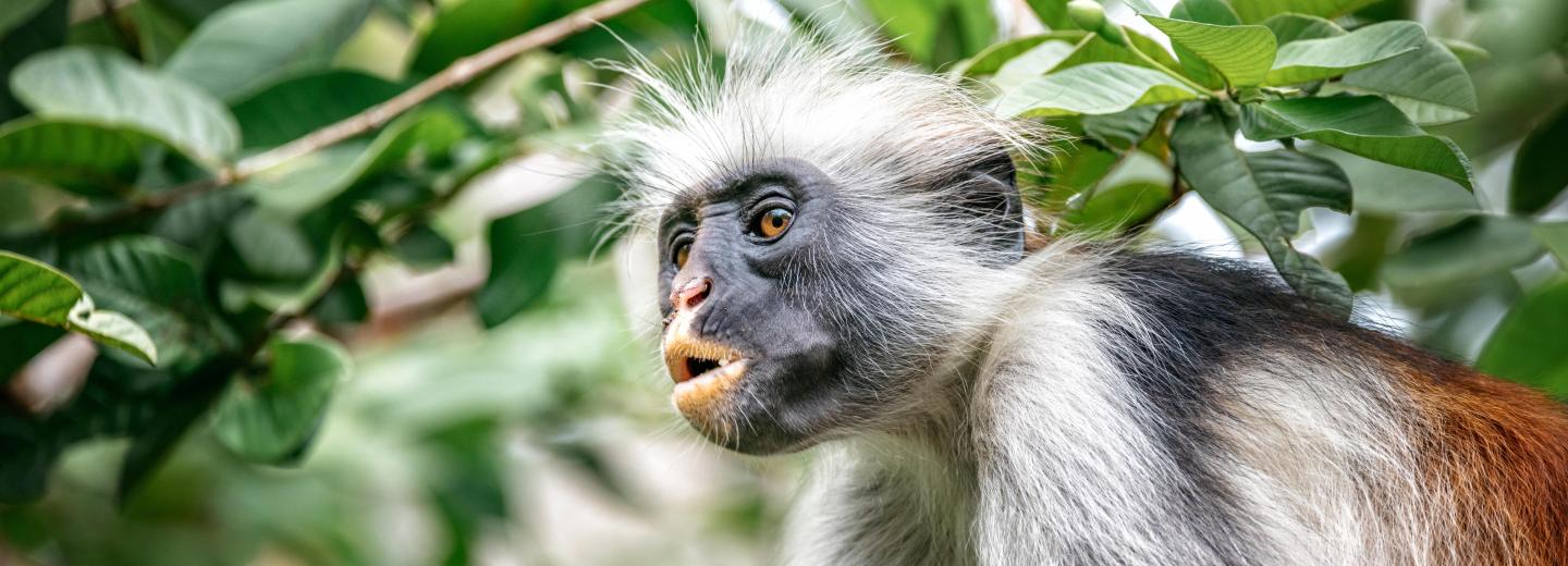 © Eurotours Zanzibár – fürdőzés