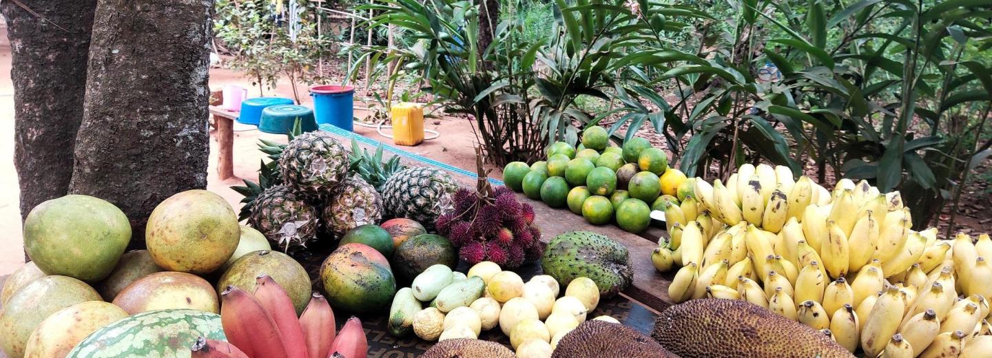 © Eurotours Zanzibár – fürdőzés