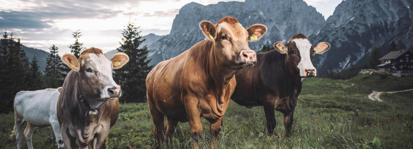 © Stefan Leitner Admont