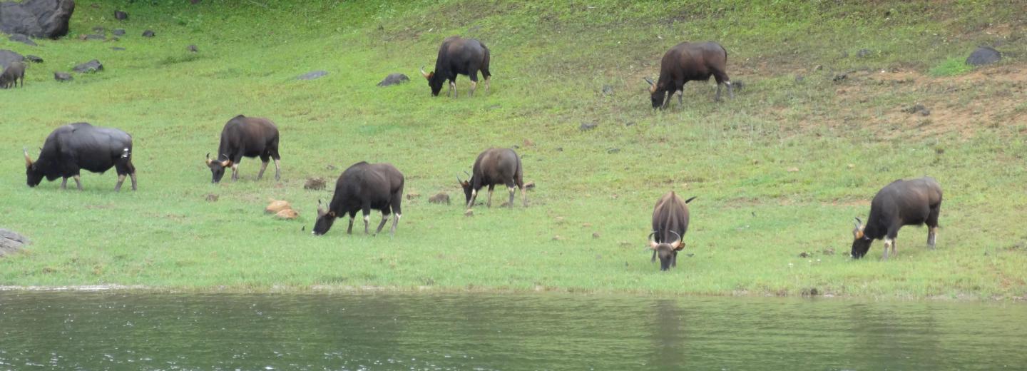 © Eurotours Dél-India – körutazás