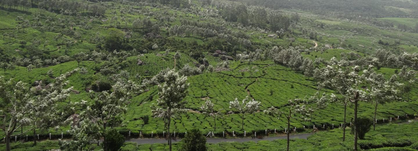 © Eurotours Dél-India – körutazás