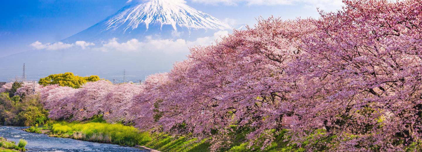 © Eurotours Japán – Körutazás vonattal