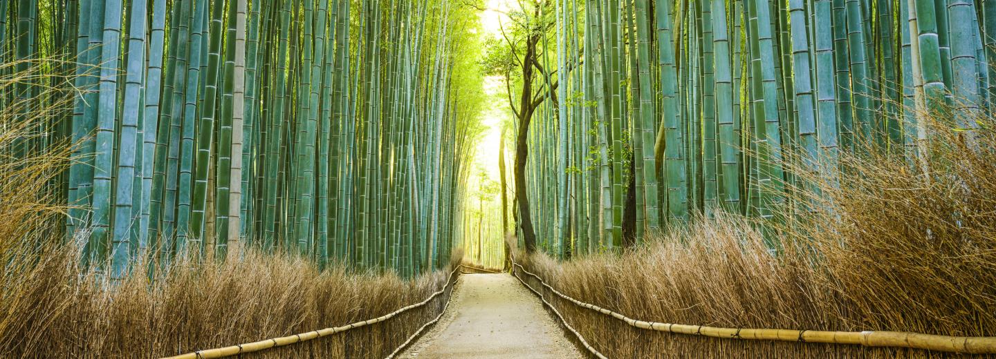 © Eurotours Japán – Körutazás vonattal