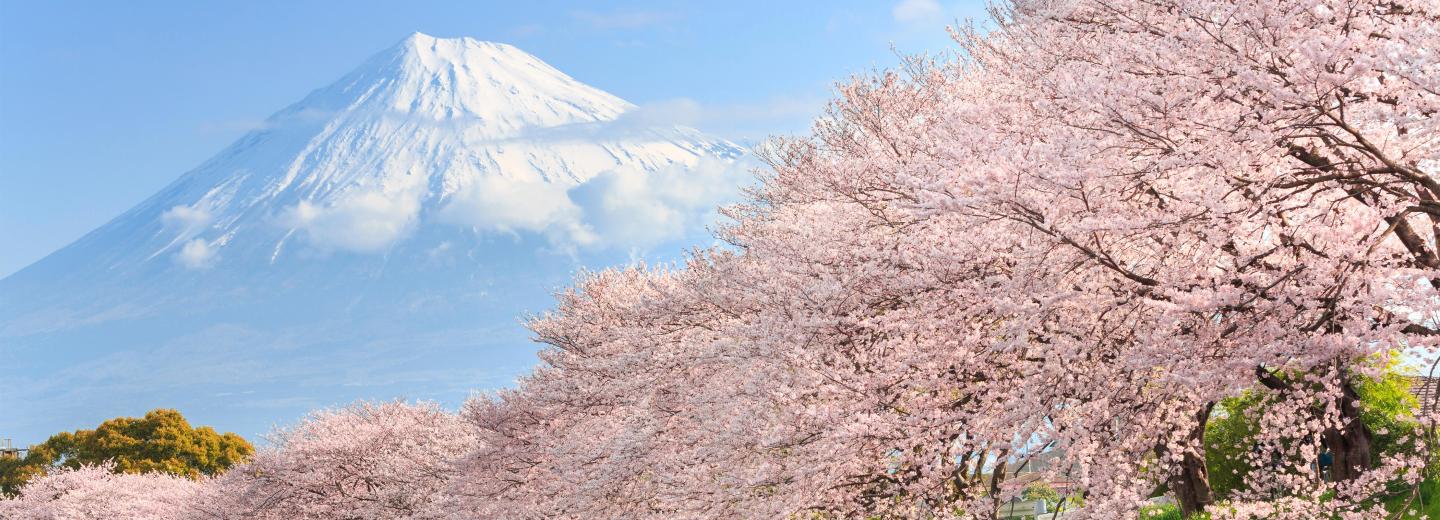 © Eurotours Japán – Körutazás vonattal