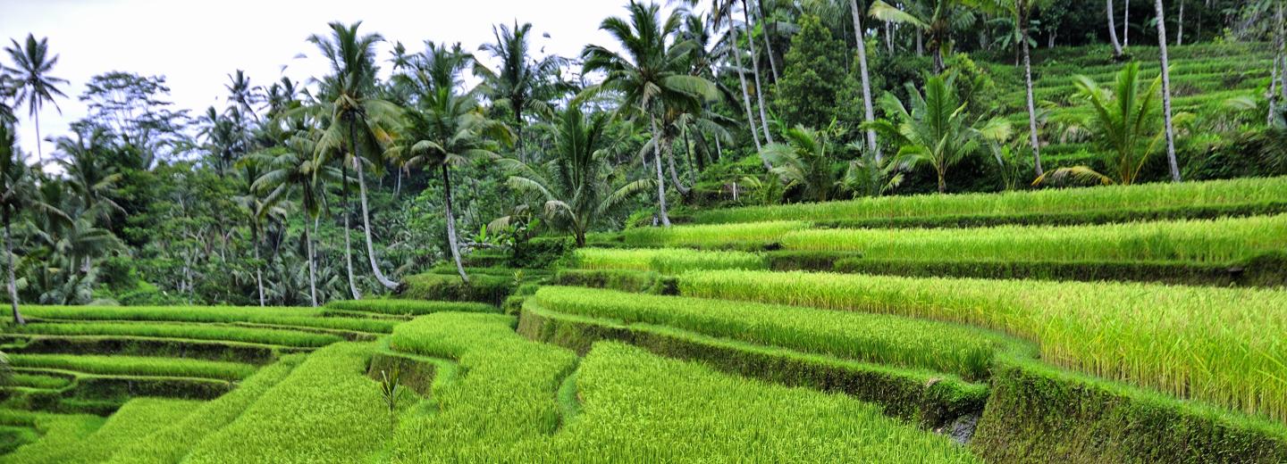 © Eurotours Bali, Gilis és Lombok – szigetkörút és fürdés