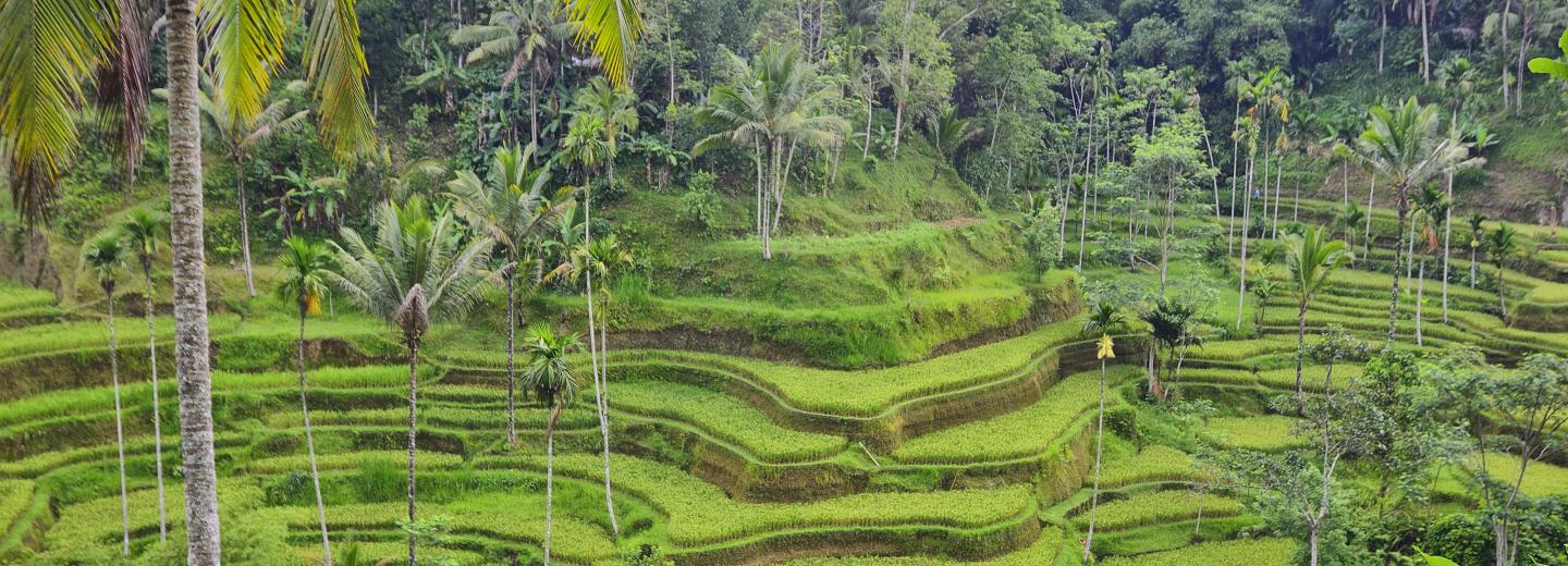 © Eurotours Bali, Gilis és Lombok – szigetkörút és fürdés