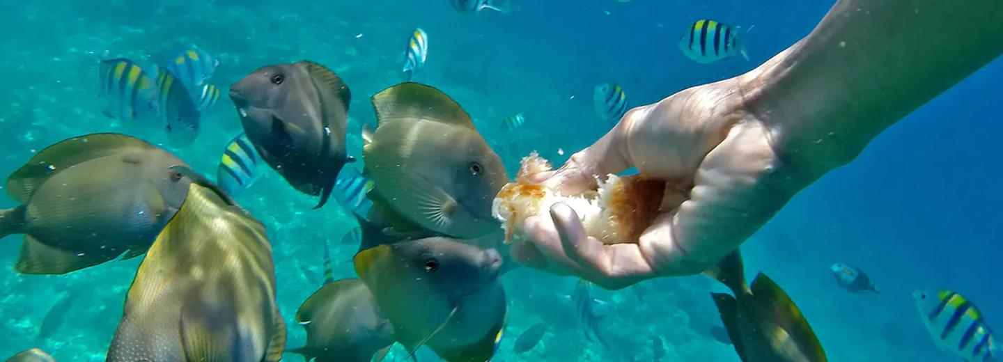© Eurotours Bali, Gilis és Lombok – szigetkörút és fürdés