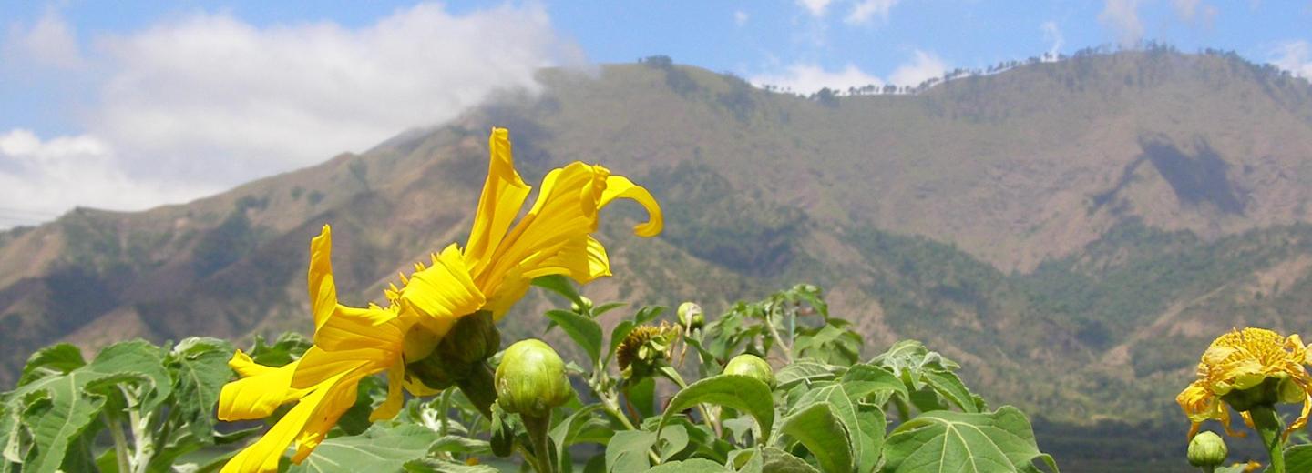 © Eurotours Bali, Gilis és Lombok – szigetkörút és fürdés