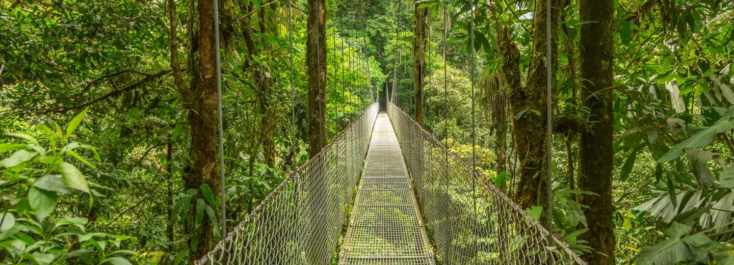 © Eurotours Costa Rica & Panama - Rundreise & Segelkreuzfahrt